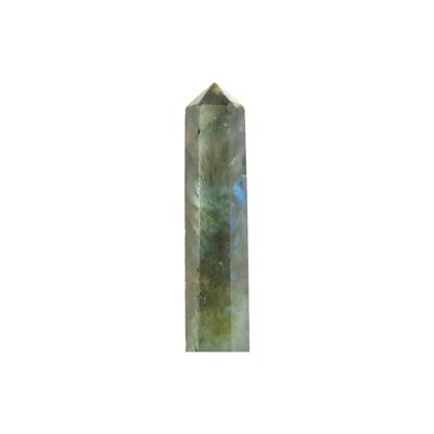 Cristal de crayon labradorite, 20-30 mm