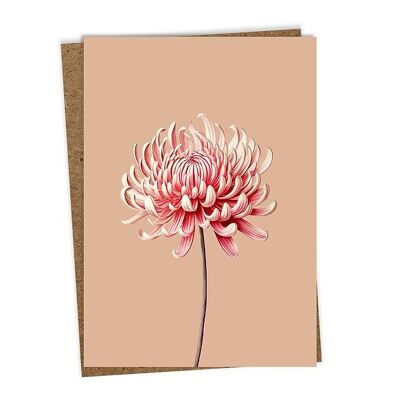 Grußkarte Leporello Chrysantheme