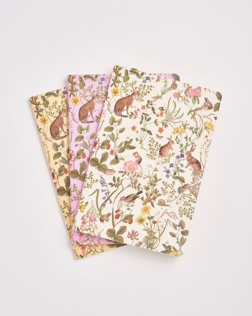 Meadow Creatures Notebooks - Pack Of 3