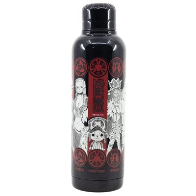 Stor botella termo acero inoxidable 515 ml one piece