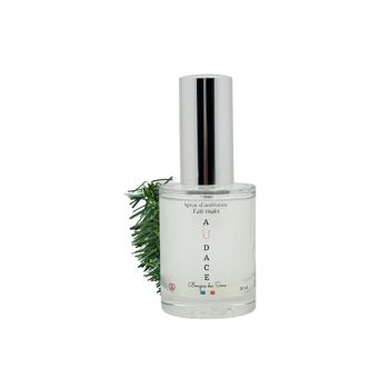 Spray d'ambiance Audace - 30 ml 1