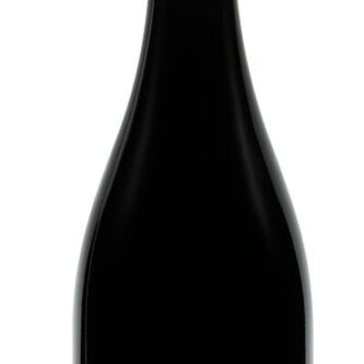 Bio-Rotwein AOP Saint-Chinian „GALOPINS“