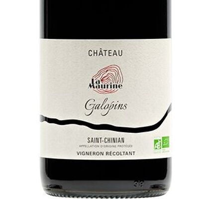 Organic Red Wine AOP Saint-Chinian “GALOPINS”