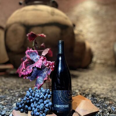 Organic Red Wine AOP Saint-Chinian “L’Amphorique”