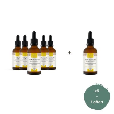 Set of 5 + 1 free - ORGANIC Calophyll Oil - 50ml