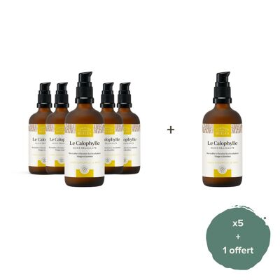 Set of 5 + 1 free - ORGANIC Calophyll Oil - 100ml