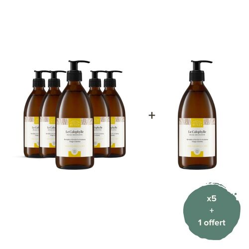 Lot de 5 + 1 offert - Huile de Calophylle BIO - 500ml