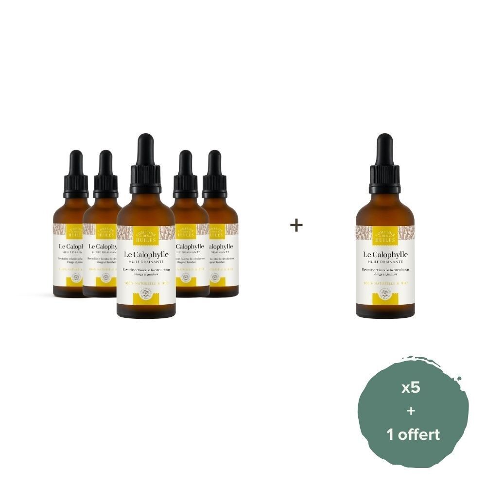 Pack of 5 + 1 free - Organic Calophyllum Oil