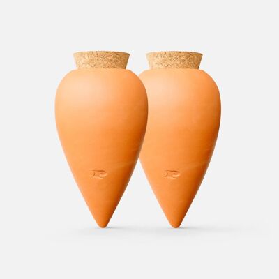 Duo of ollas - Olla Terracotta x2