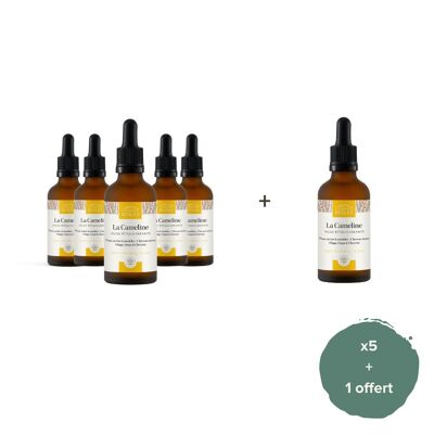 Set of 5 + 1 free - ORGANIC Camelina Oil