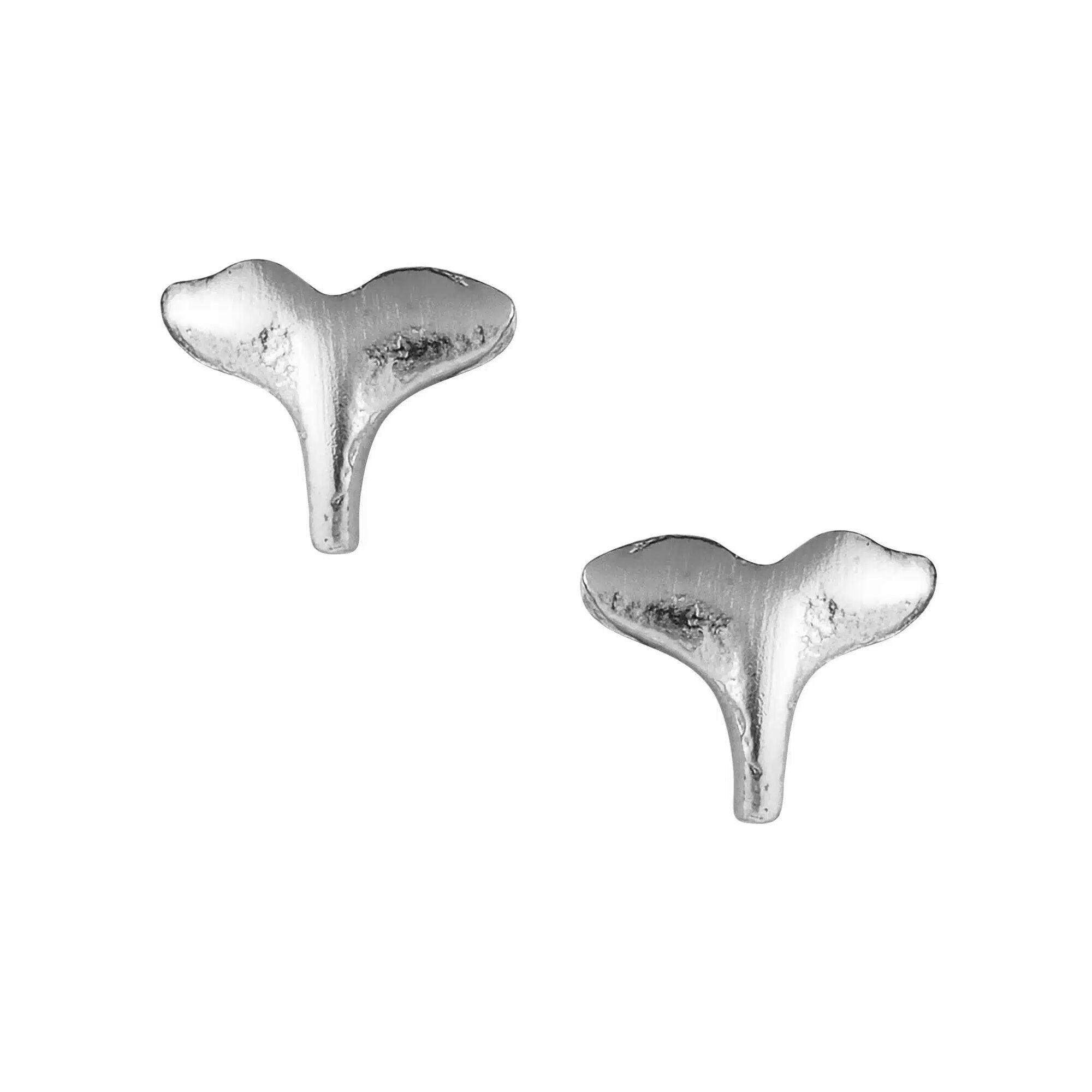 Delicati borchie a coda di balena