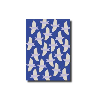 Postkarte Vögel blau