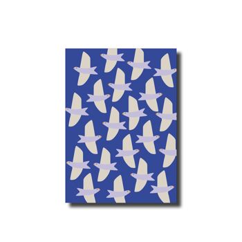 Carte postale Oiseaux bleu 1