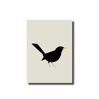 Postcard Blackbird