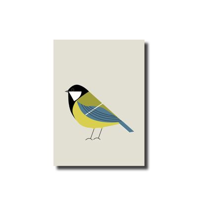 Great tit postcard