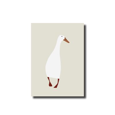 Postcard Indian Runner Duck