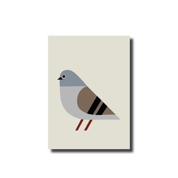 Pigeon de carte postale 1