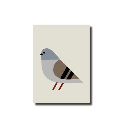 Pigeon de carte postale