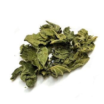 Feuilles de figuier séchées origine France (500g en vrac)