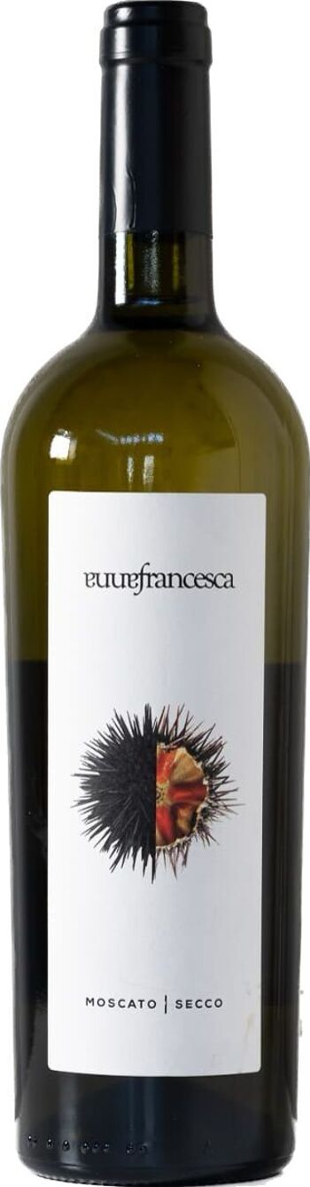 Vin blanc sec « Riccio » Moscato sec 0,75lt 2022