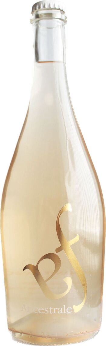 Pinot Grigio Vin mousseux blanc méthode ancestrale 0,75lt