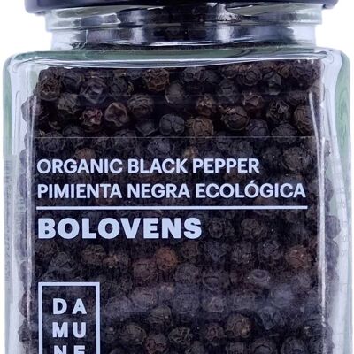 Bolovens Premium Organic Black Pepper in grain - 100g