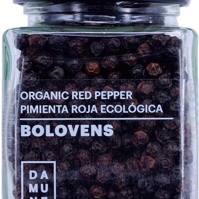 Bolovens Premium Bio-Roter Pfeffer in Körnern – 100 g