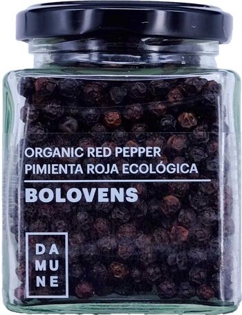 Bolovens Premium Poivron Rouge Bio en Grains - 100g 1