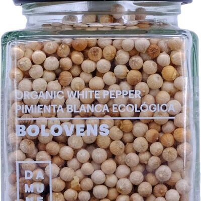 Bolovens Premium Organic White Pepper in Grains - 100g