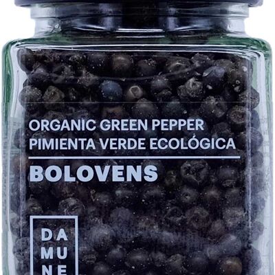 Bolovens Premium Bio-Grüner Pfeffer in Körnern – 100 g