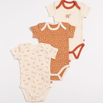 Short-sleeved crossed baby bodysuits Pack of 3 - ORSINO