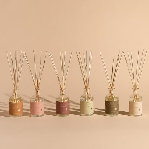 Diffuseurs d'intérieur 100ml - Existe en 6 senteurs