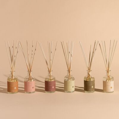 Difusores de interior de 100 ml - Disponibles en 6 aromas