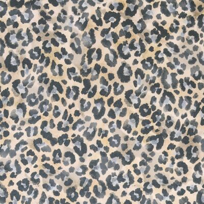 Leopard wallpaper - maasai