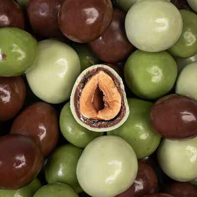 Chocolate Coated Hazelnuts in Bulk