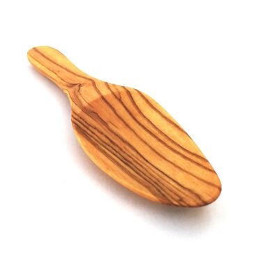 Cuillère à sel cuillère à sel en bois d'olivier