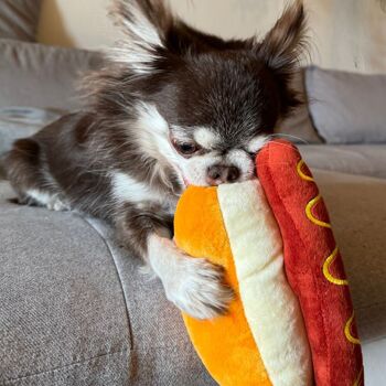 Hot-dog grinçant 2