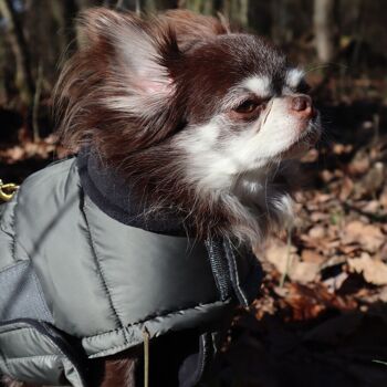 Manteau d'hiver déperlant 4