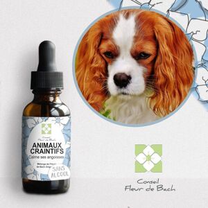 Conseil fleur de Bach® - Fleurs de Bach Animaux Craintifs SANS ALCOOL - 30Ml