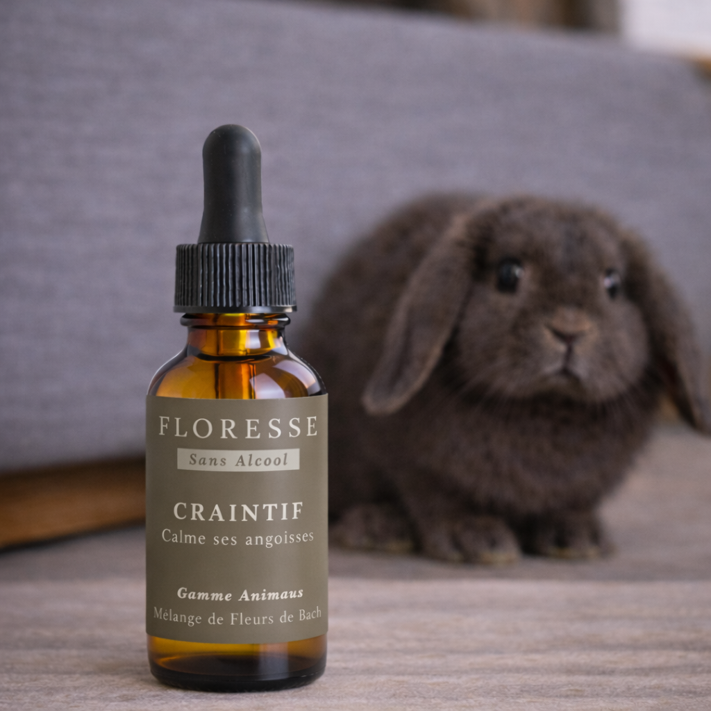 Bach® Flower Advice - Bach Flowers for Fearful Animals ALCOHOL-FREE - 30Ml