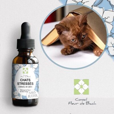 Bach® Flower Advice - ALCOHOL-FREE Stressed Cat Bach Flowers - 30Ml