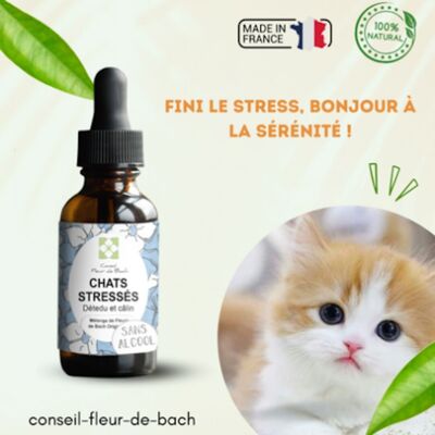 Bach® Flower Advice - Fiori di Bach di gatto stressato SENZA ALCOL - 30 ml