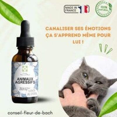 Conseil fleur de Bach® - Fleurs de Bach Animaux Agressifs SANS ALCOOL - 30Ml