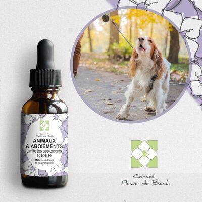 Bach® Flower Advice - Bach Flowers for Excessive Barking - 30Ml