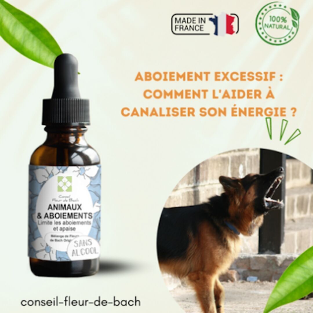 Bach® flower advice - Bach flowers for excessive barking without alcohol