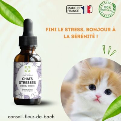 Bach® Flower Advice - Fiori di Bach per gatti stressati - 30 ml