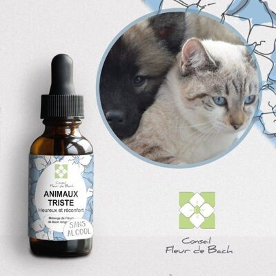 Bach Flower Advice® - Bach Flowers for Sad Animals WITHOUT ALCOHOL - 30Ml