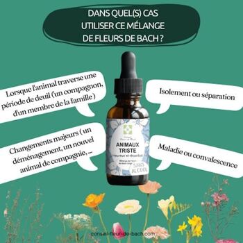 Conseil fleur de Bach® - Fleurs de Bach Animaux Tristes SANS ALCOOL - 30Ml 6