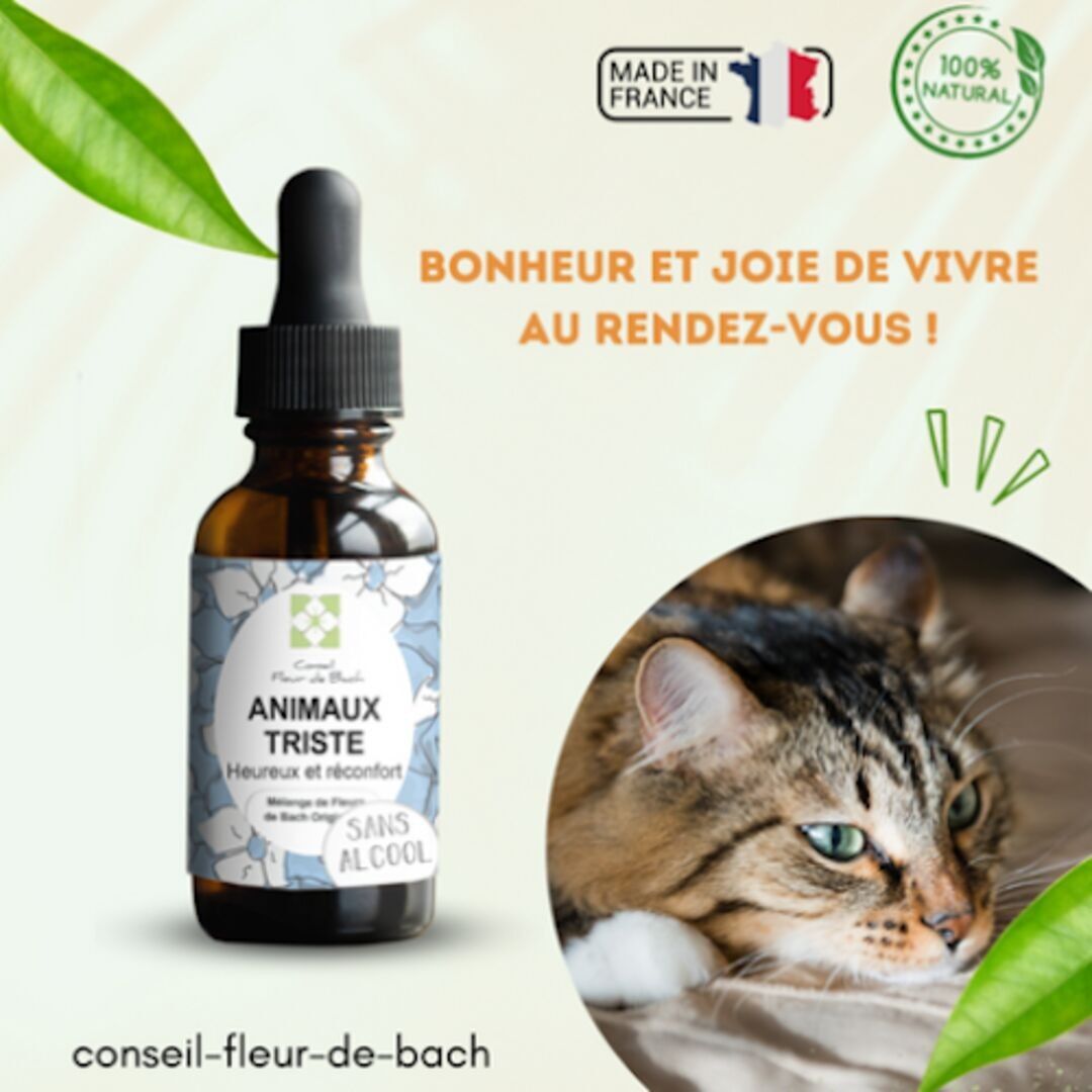 Bach Flower Advice® - Bach Flowers for Sad Animals WITHOUT ALCOHOL - 30Ml