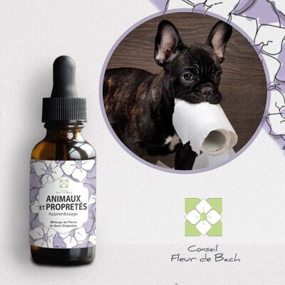 Bach® Flower Advice - Bach Flowers for Animals and Cleanliness - 30Ml